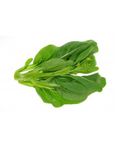 False Pak Choi