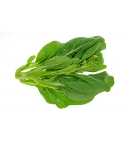 False Pak Choi