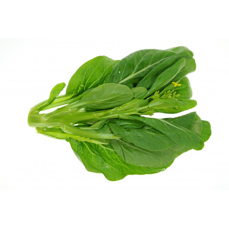 False Pak Choi