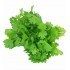 CORIANDER