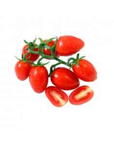 มะเขือเทศsweet no.1 (sweet no.1Tomato)