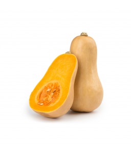 บัตเตอร์นัท สควอช (Butternut Squash)