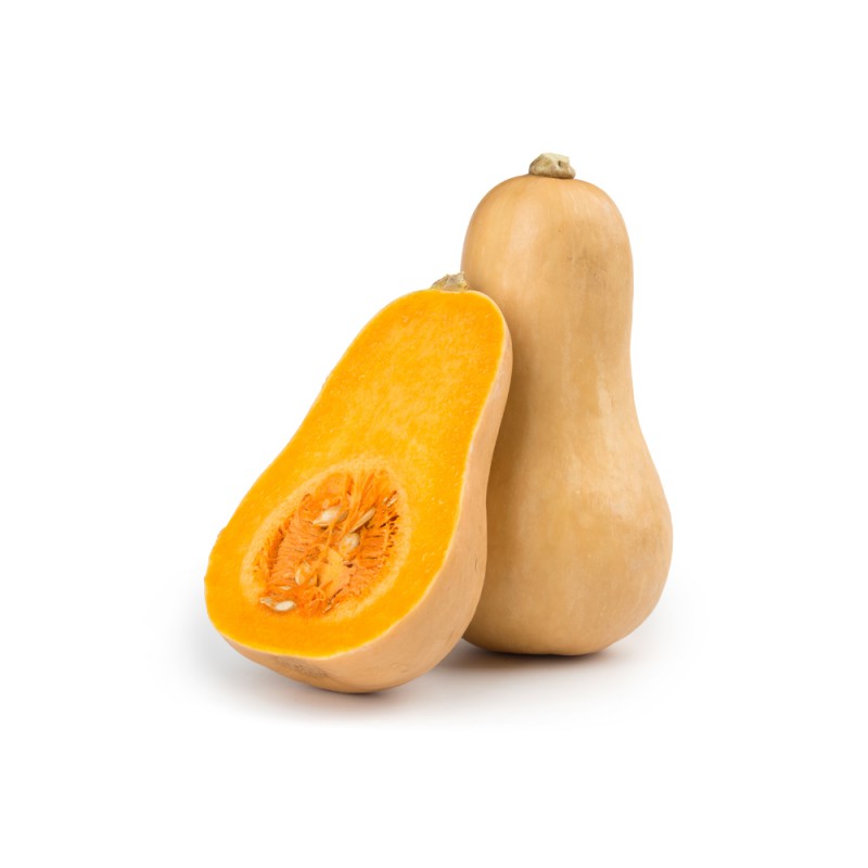 บัตเตอร์นัท สควอช (Butternut Squash)