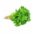 CORIANDER