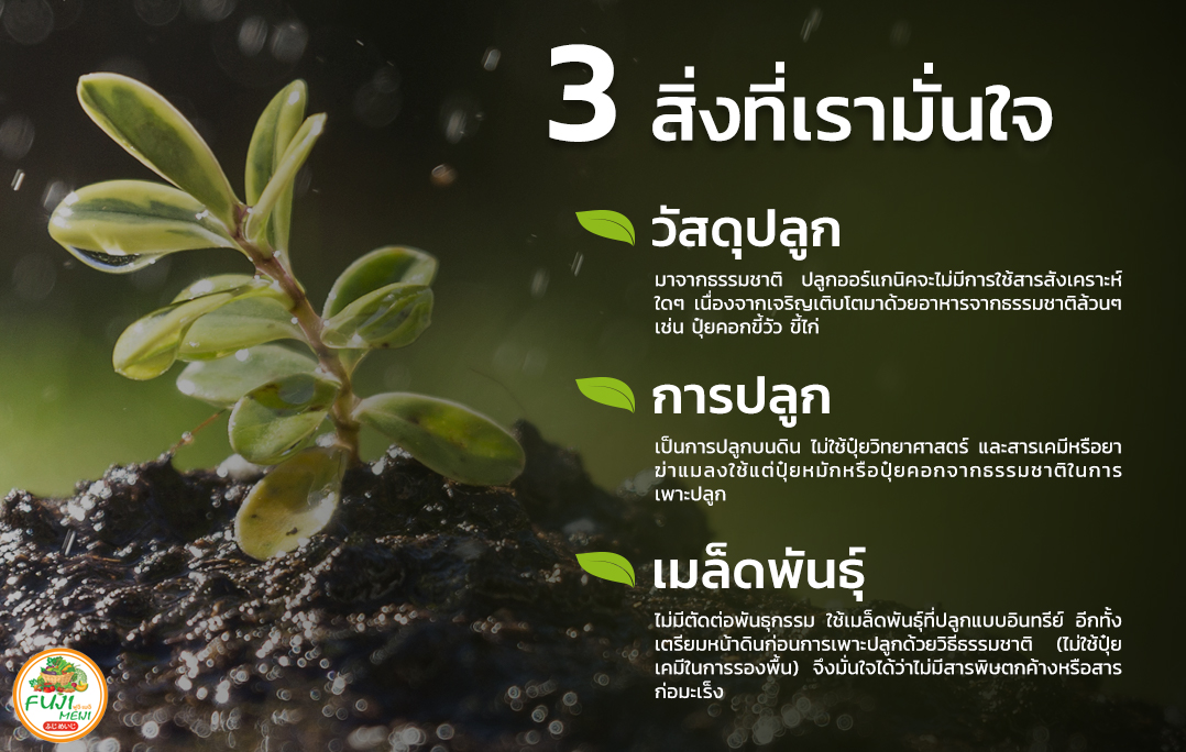 3 ข้อควรระวัง