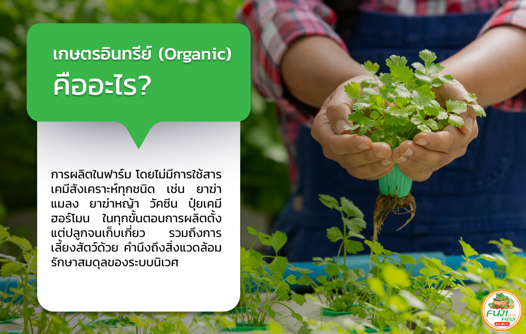 เกษตรอินทรีย์ (Organic) คืออะไร?